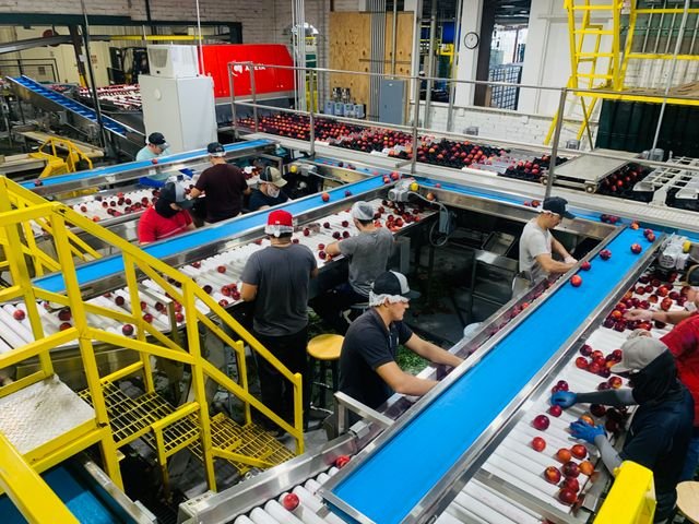 Food and beverage distribution